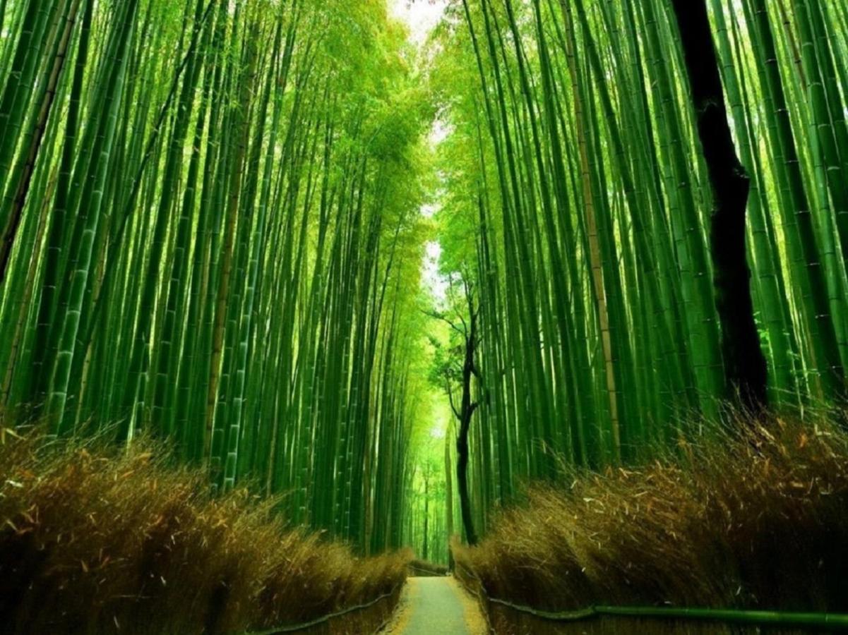 鴨川 栄の屋 Kamo River Machiya Halo House Kyoto Luaran gambar